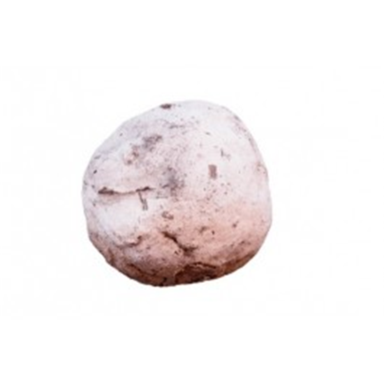 EM Agriton - Bokashi EM - Vijverballen - 8 stuks