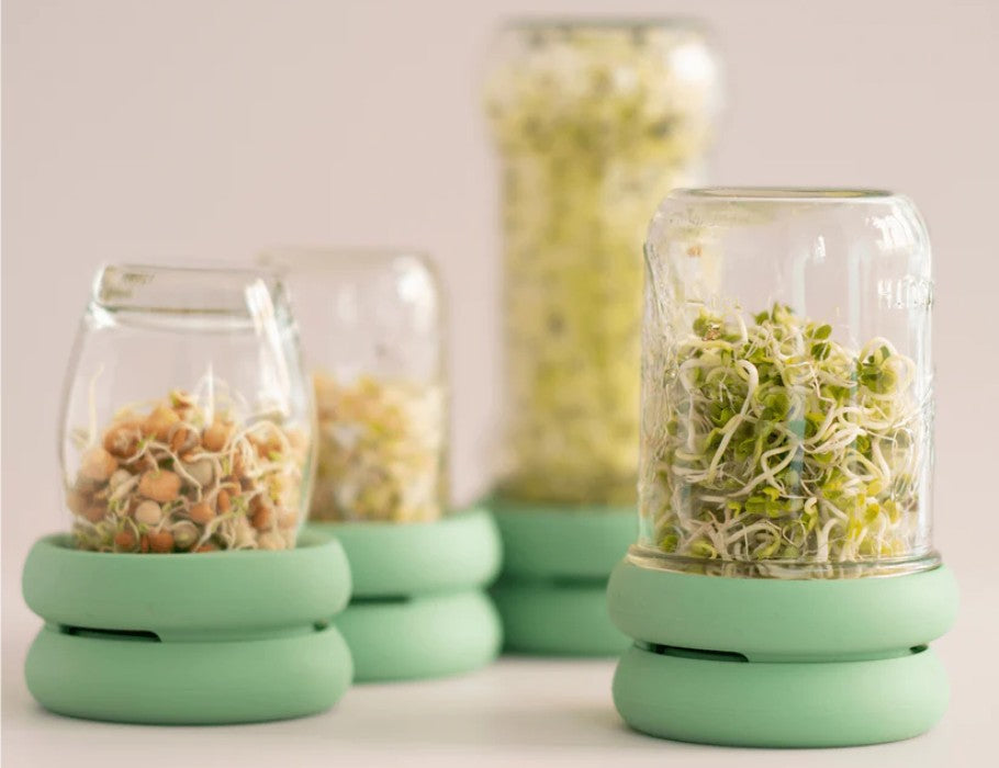 Food Huggers - Sprout Huggers - Kweek Je Eigen Groenten