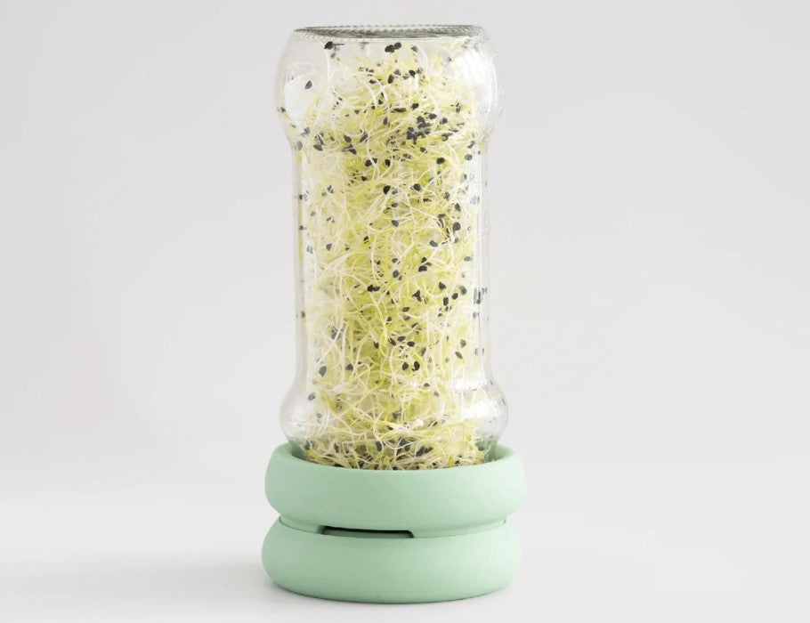 Food Huggers - Sprout Huggers - Kweek Je Eigen Groenten