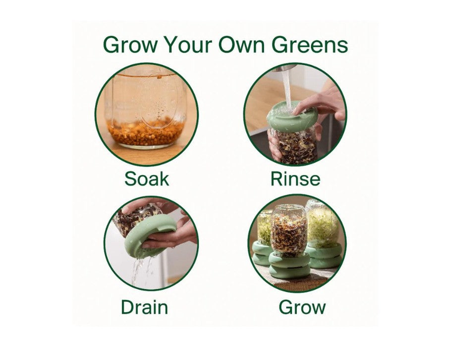 Food Huggers - Sprout Huggers - Kweek Je Eigen Groenten