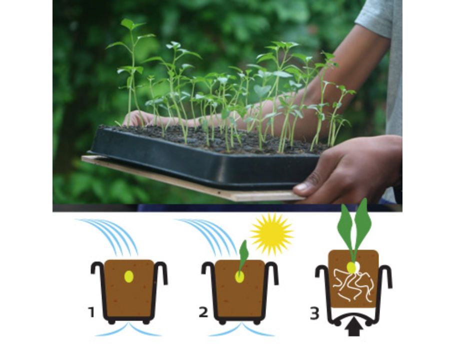 Fairzone - Kiembak van Natuurrubber - 30 vakjes