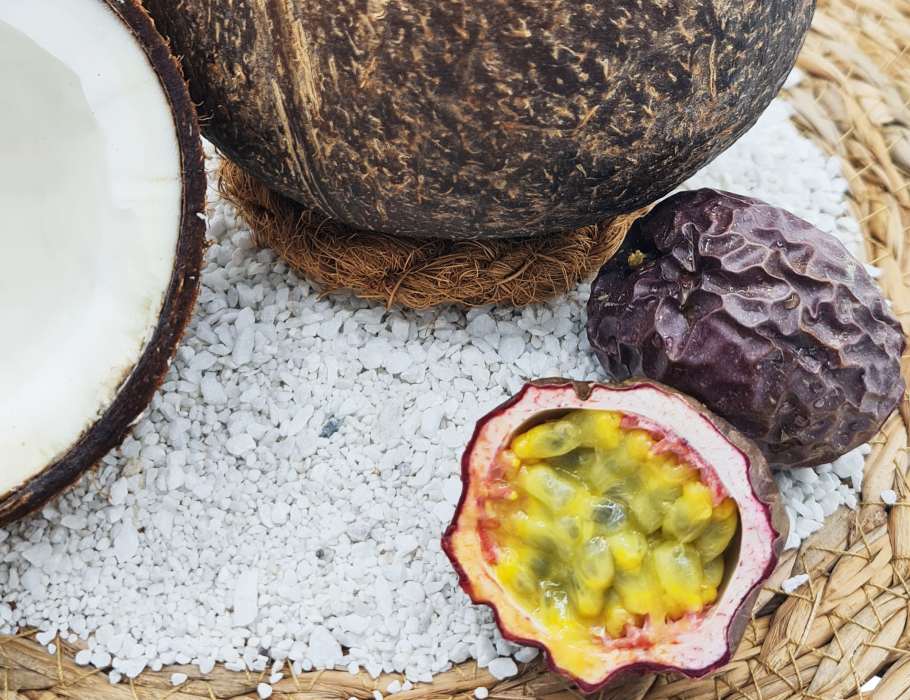 Namture - Kokosnoot Kaars - Tropical Fruit - 300g