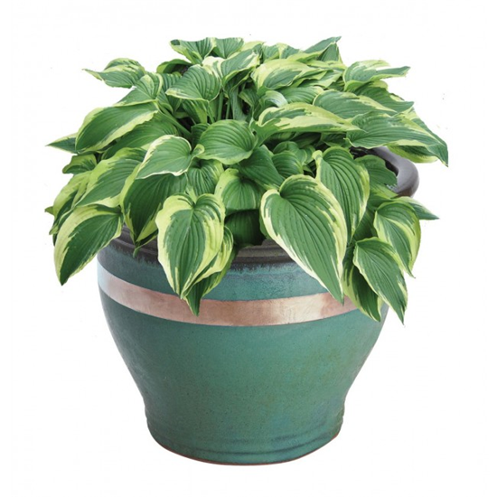 Garland - Anti-slakken kopertape - 4m