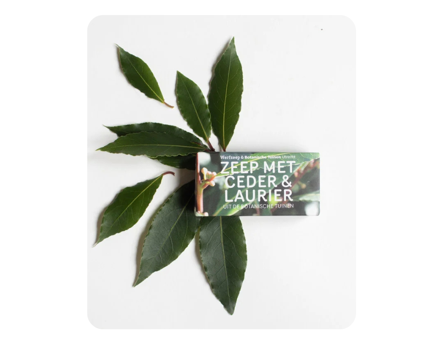 Werfzeep - Botanische tuinen - Ceder & Laurier